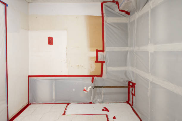 Best Crawl Space Mold Remediation  in St Robert, MO