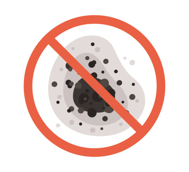 Professional Mold Removal in St Robert, MO