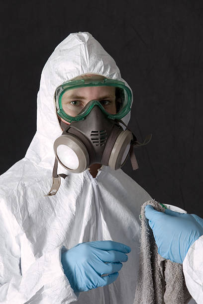 Asbestos and Lead Testing During Mold Inspection in St Robert, MO